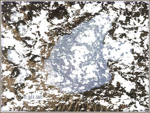 Aerial View a 3D painting by Janet Boyd  aka Bee Spit