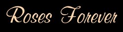 Roses Forever