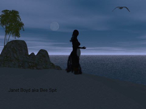 A pregnant woman on the beach at night talking to her unborn child