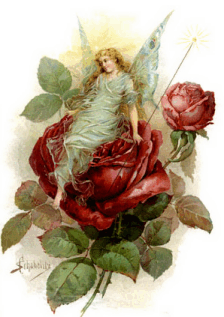 Rose and Fairy