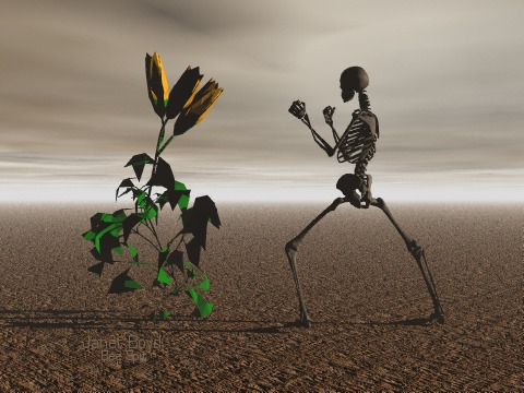 Opposition by Janet Boyd aka Bee Spit