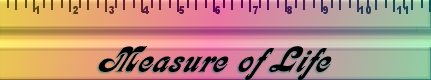 Measure of Life Poem by Bee Spit Ruler by bluegenie2