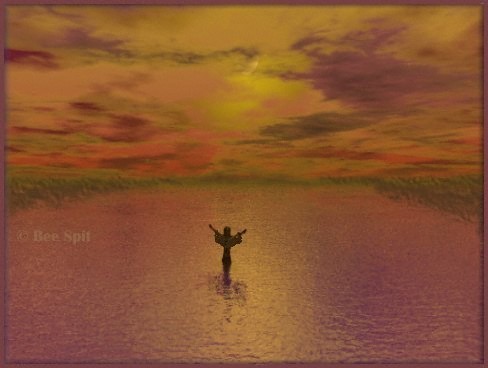 Souls Dream by Janet Boyd  aka Bee Spit